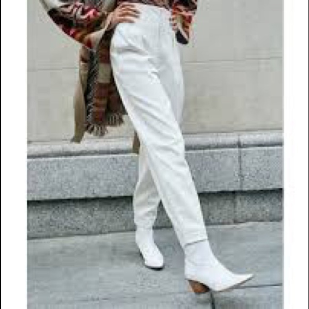 NWT free people Cecily Pleated Pants Size 8